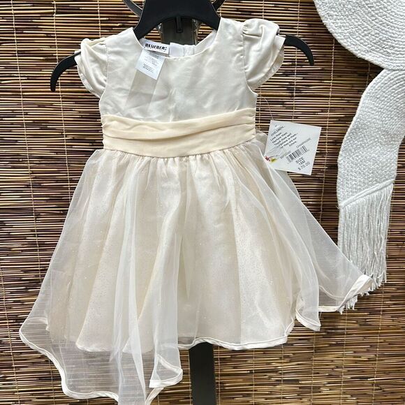 Blueberi Boulevard Baby Girls Fit-and-Flare Satin and Tulle Dress - Champagne Si - Picture 2 of 3